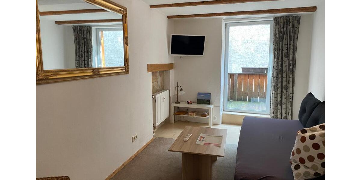 Wohnen auf Zeit Altenburg - 2 Zimmer, 42 m&sup2;, 750&euro; | Angebot:26432636