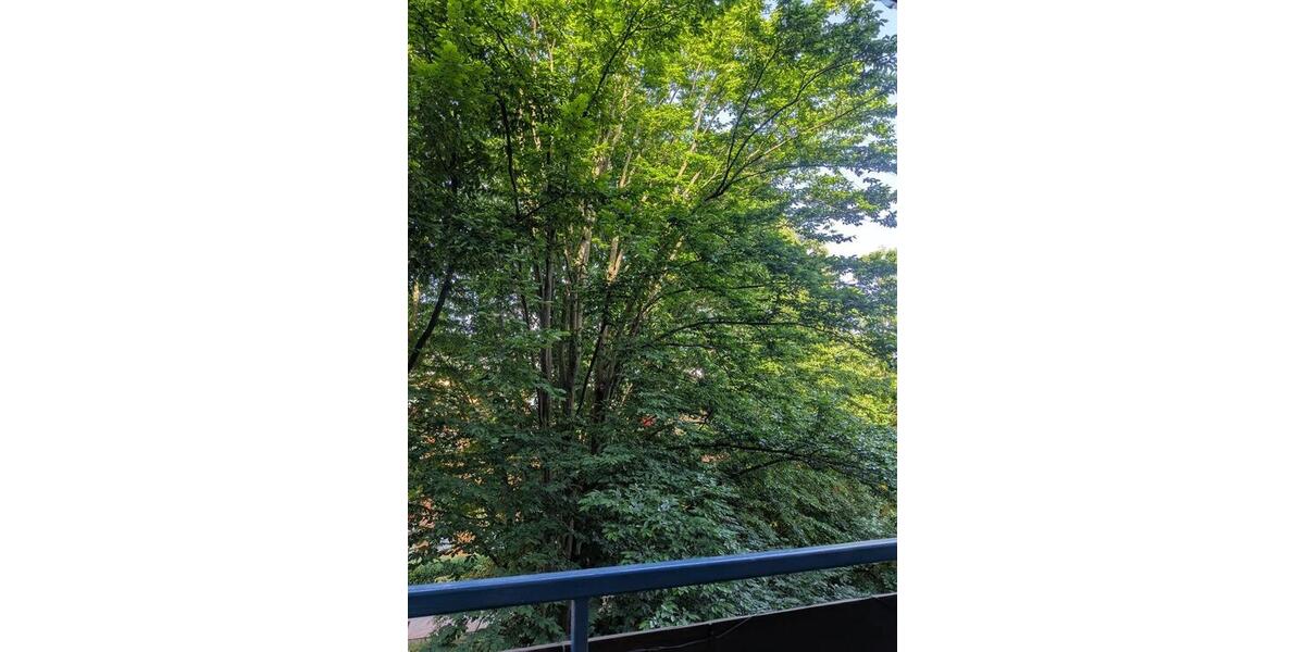 Wohnen auf Zeit Aachen Aachen-Mitte - 1 Zimmer, 18 m&sup2;, 650&euro; | Angebot:26218727