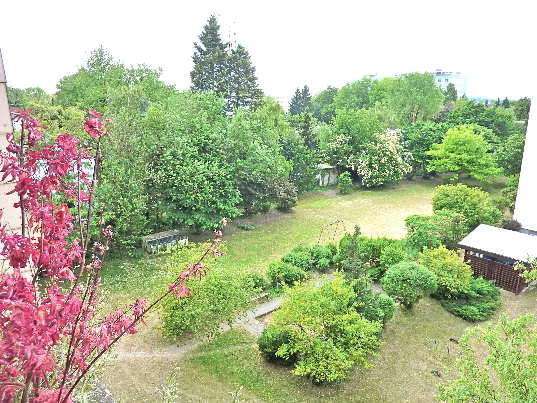 Wohnung zum Mieten in Heidelberg 500 € 30 m² 1 zimmer