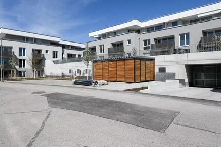 Neubau- 3 Zimmerwohnung zu vermieten zimmer