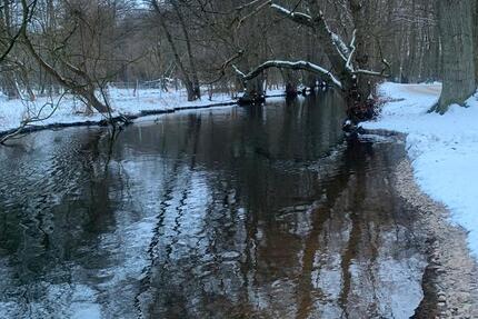 Wohnen auf Zeit Winsen (Luhe) - 1 Zimmer, 15 m&sup2;, 550&euro; | Angebot:24819390