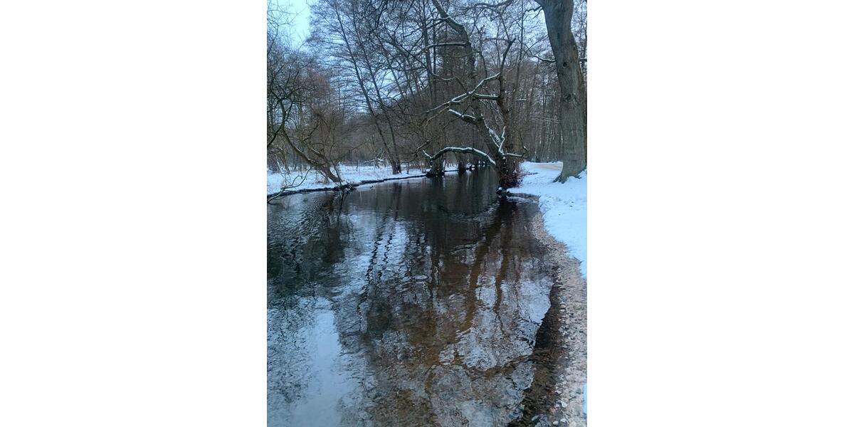 Wohnen auf Zeit Winsen (Luhe) - 1 Zimmer, 15 m&sup2;, 550&euro; | Angebot:24819390