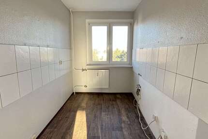 Wohnung Bad Düben Hammermühle - 3 Zimmer, 58 m&sup2;, 290&euro; | Angebot:24639140