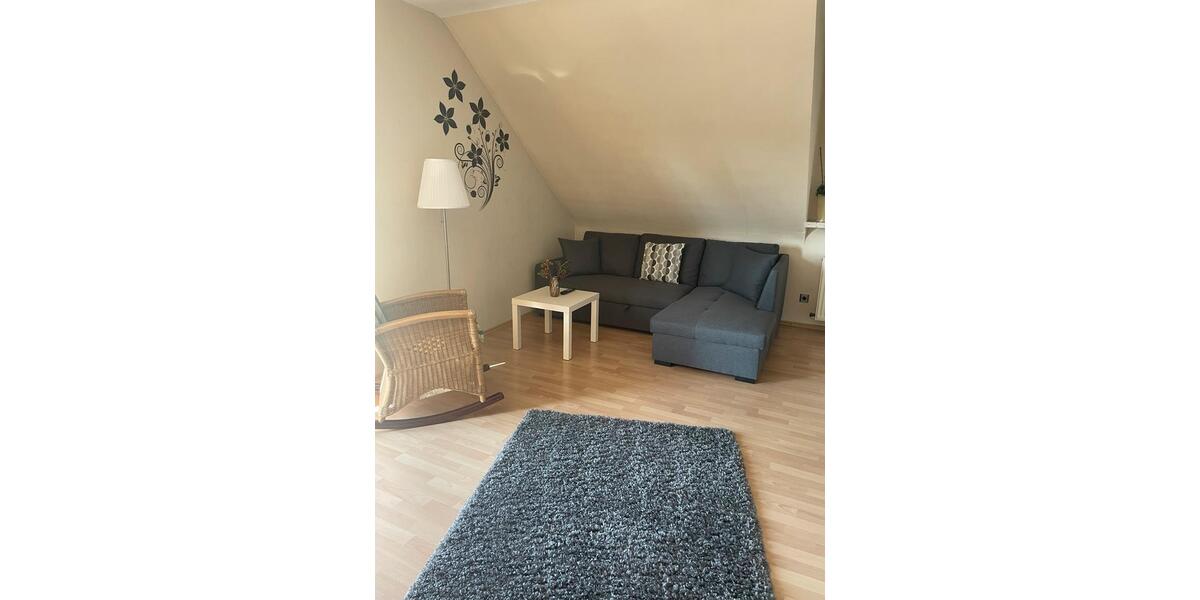 Wohnen auf Zeit Peine Peine Kernstadt - 1 Zimmer, 55 m&sup2;, 80&euro; | Angebot:25999038