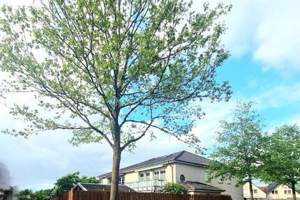 Wohnung Wolfsburg Almke - 5 Zimmer, 127 m&sup2;, 1.440&euro; | Angebot:25981007