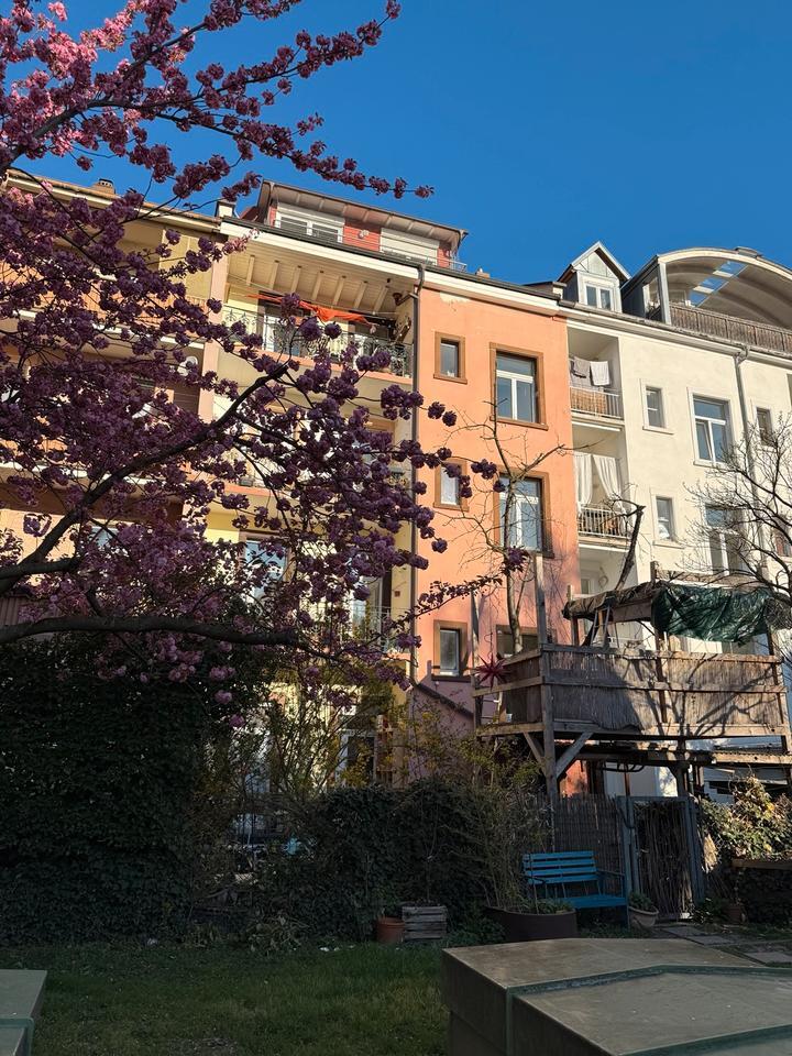 WG Zimmer bzw. Wohnung auf Zeit… 650-1.500€ zimmer