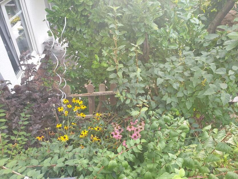 Nachmieter ab 01.11 25 für 3-Zimmer-Wohnung mit Garten in Thiede zimmer