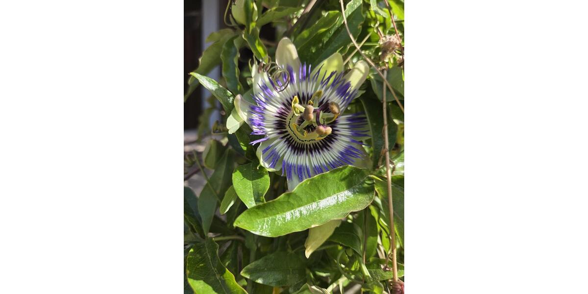 Lichtdurchflutete 80qm Wohnung im Hochparterre - Ein Lebensgefühl 2 zimmer