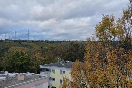 Penthouse-Flair am Neckar: 1,5-Zimmer mit 2 XXL Balkonen 1.5 zimmer