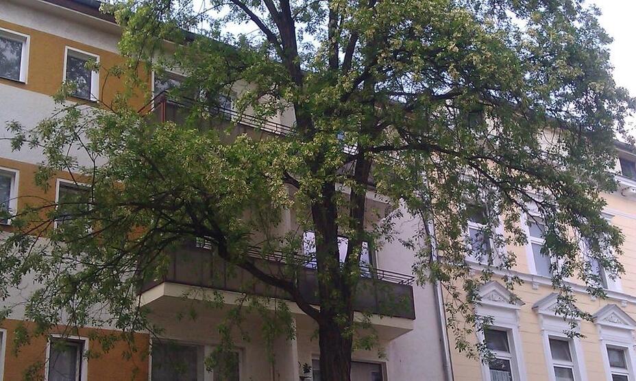 Zwischenmiete StudentenWohnung ab sofort bis 30.04.2026 frei