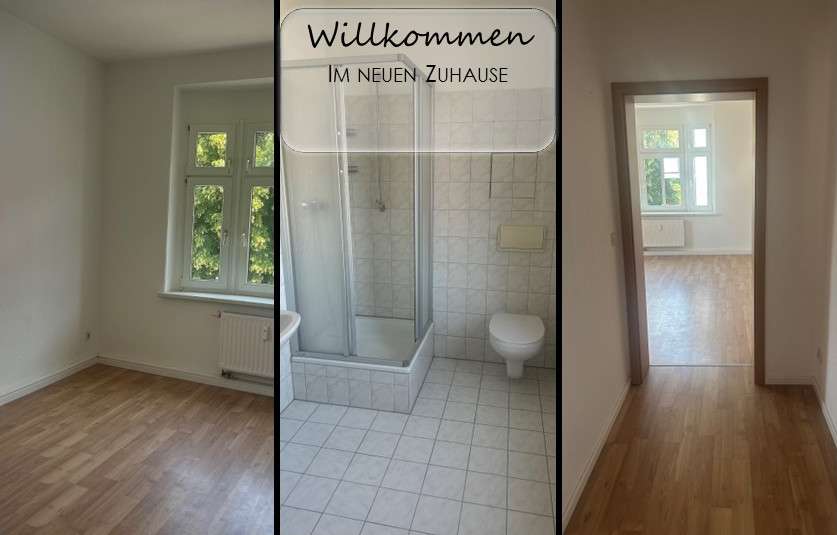 Etagenwohnung Zwickau Niederplanitz - 1 Zimmer, 36 m&sup2;, 210&euro; | Angebot:26185433