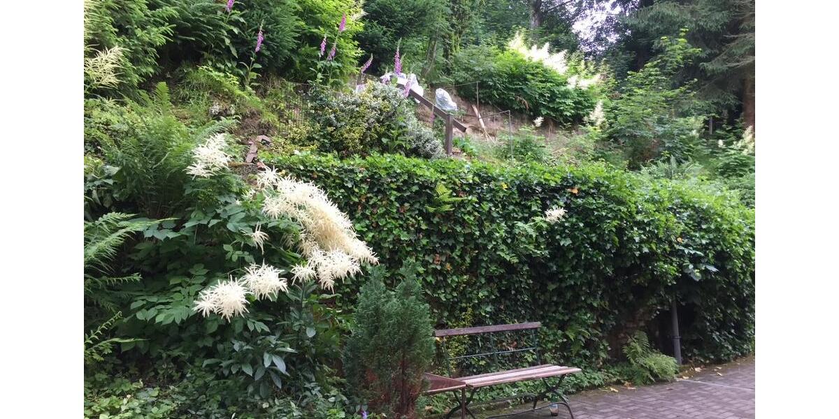 Etagenwohnung Sebnitz - 3 Zimmer, 64 m&sup2;, 385&euro; | Angebot:25646714