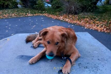 WG Gründung Wohnung 4 zimmer