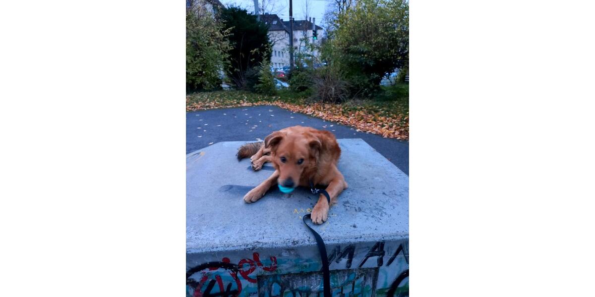 WG Gründung Wohnung 4 zimmer