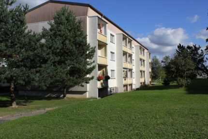 Wohnung Haselbachtal OT Gersdorf Gersdorf - 2 Zimmer, 50 m&sup2;, 290&euro; | Angebot:20310298