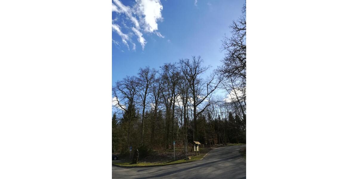 Dachgeschoßwohnung Parchim - 2 Zimmer, 62 m&sup2;, 470&euro; | Angebot:25875148