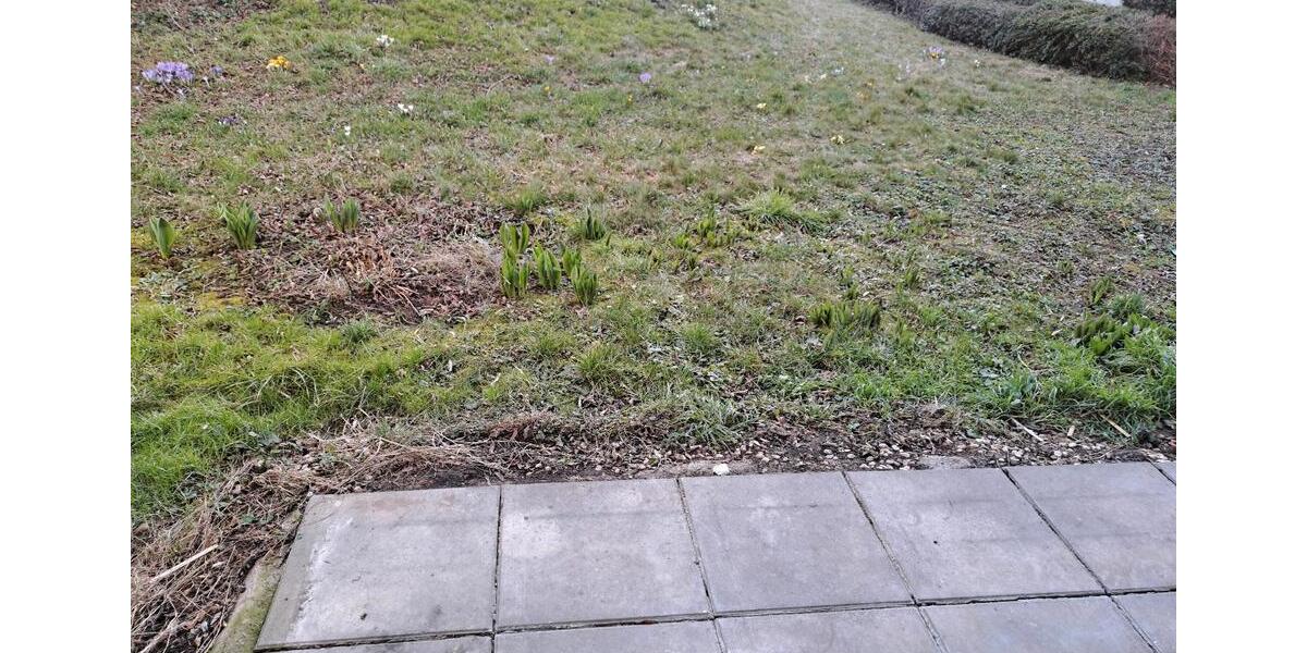 Terrassenwohnung Erfurt Johannesplatz - 2 Zimmer, 60 m&sup2;, 565&euro; | Angebot:26225829