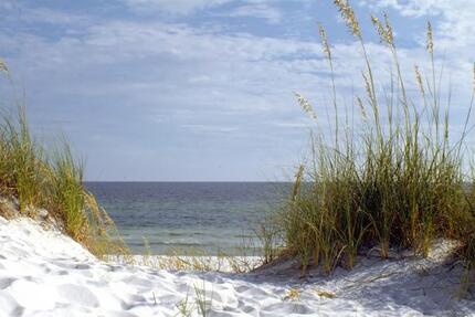 Wohnen auf Zeit Binz - 3 Zimmer, 80 m&sup2;, 1.700&euro; | Angebot:26262897