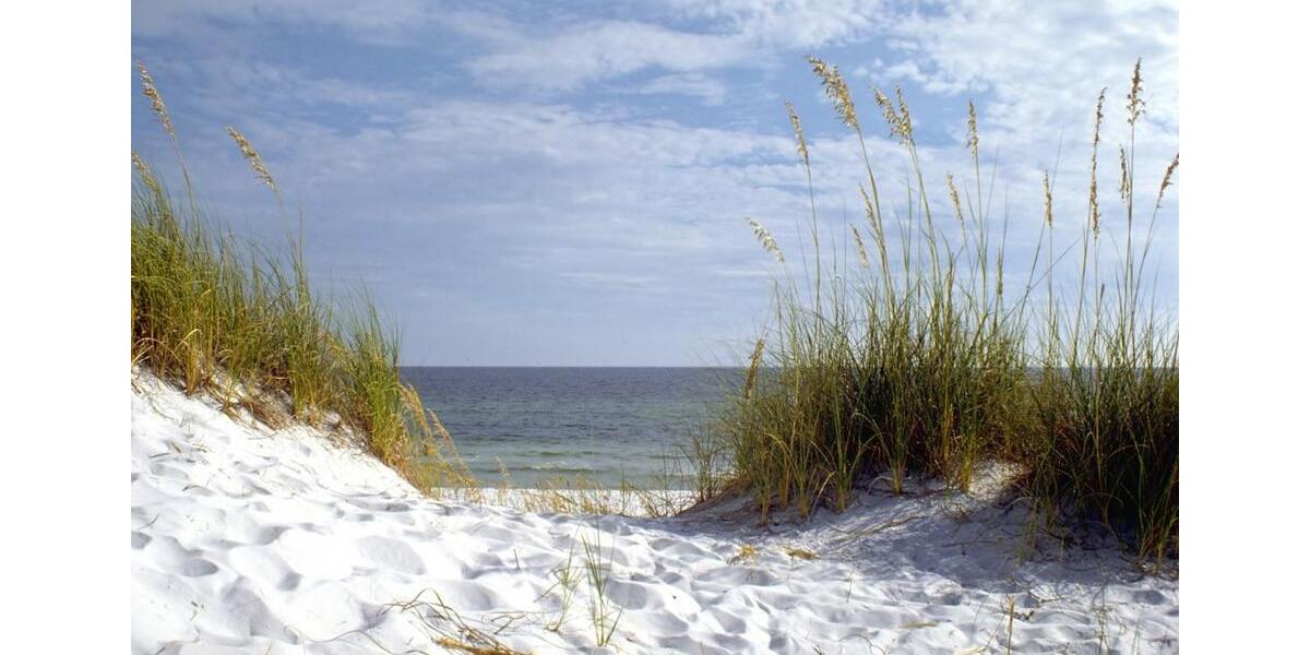 Wohnen auf Zeit Binz - 3 Zimmer, 80 m&sup2;, 1.700&euro; | Angebot:26262897