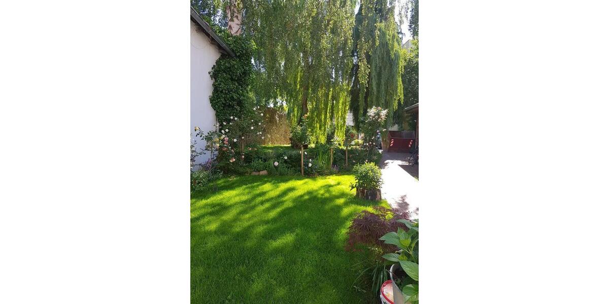 Wunderschöne 5 Zimmerwohnung in Strausberg Altstadt zu vermieten 5 zimmer