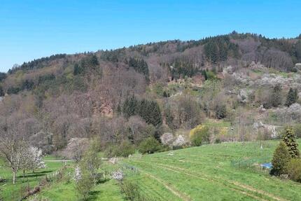 Wohnung Bühl - 4 Zimmer, 110 m&sup2;, 900&euro; | Angebot:25713640