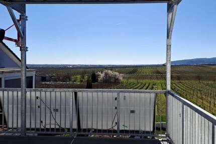 Wohnung Kallstadt - 3 Zimmer, 92 m&sup2;, 1.550&euro; | Angebot:24559090