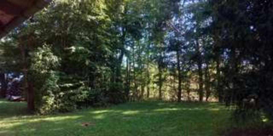 Terrassenwohnung Bad Wildungen - 3 Zimmer, 90 m&sup2;, 8&euro; | Angebot:24654724