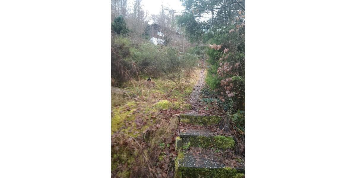 Vermietung EFH, 3ZKB, 90 qm, Raum Elmstein im Pfälzer Wald 3 zimmer