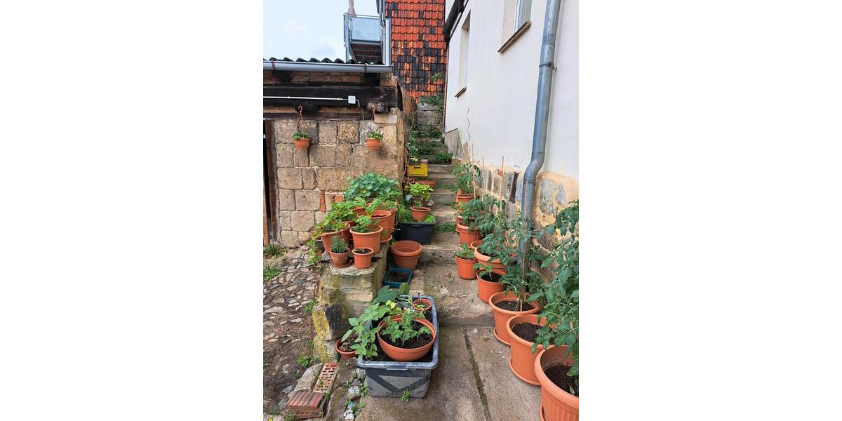 Etagenwohnung Quedlinburg - 3 Zimmer, 110 m&sup2;, 666&euro; | Angebot:26461437