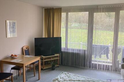 Wohnung Bad Bergzabern - 1 Zimmer, 32 m&sup2;, 650&euro; | Angebot:25206023