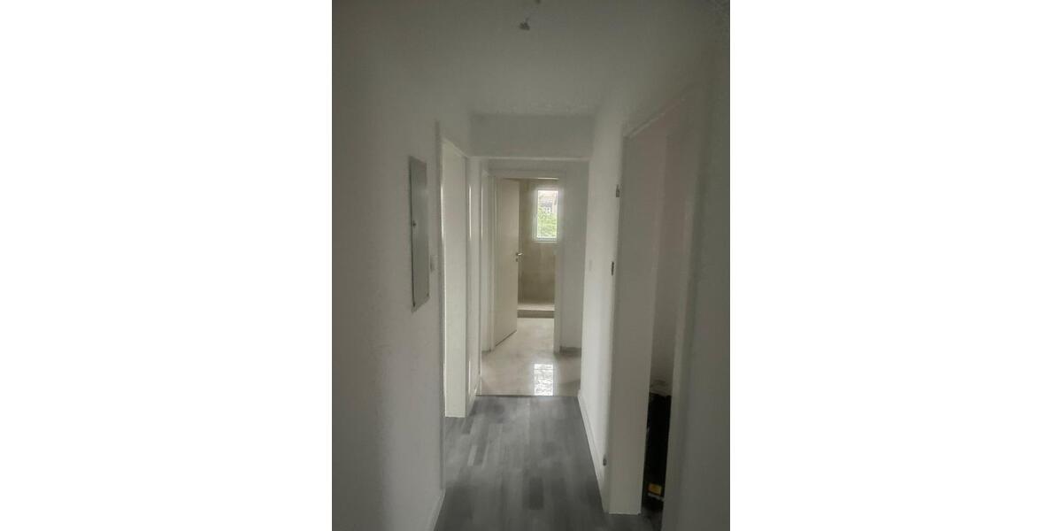 2,5 Zimmerwohnung zimmer