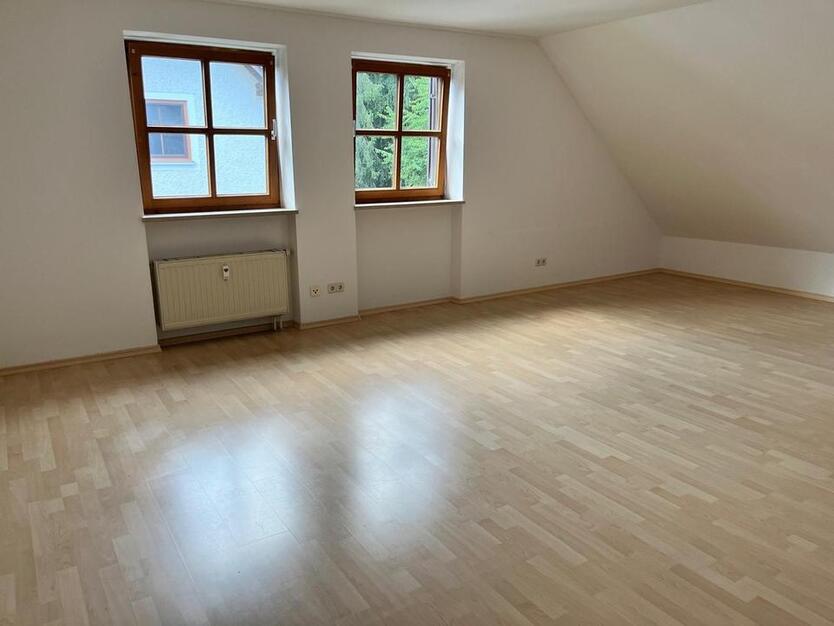 Ruhige 1Zi Whg inkl. EBK, Stellplatz, Keller Haidenhof Nord