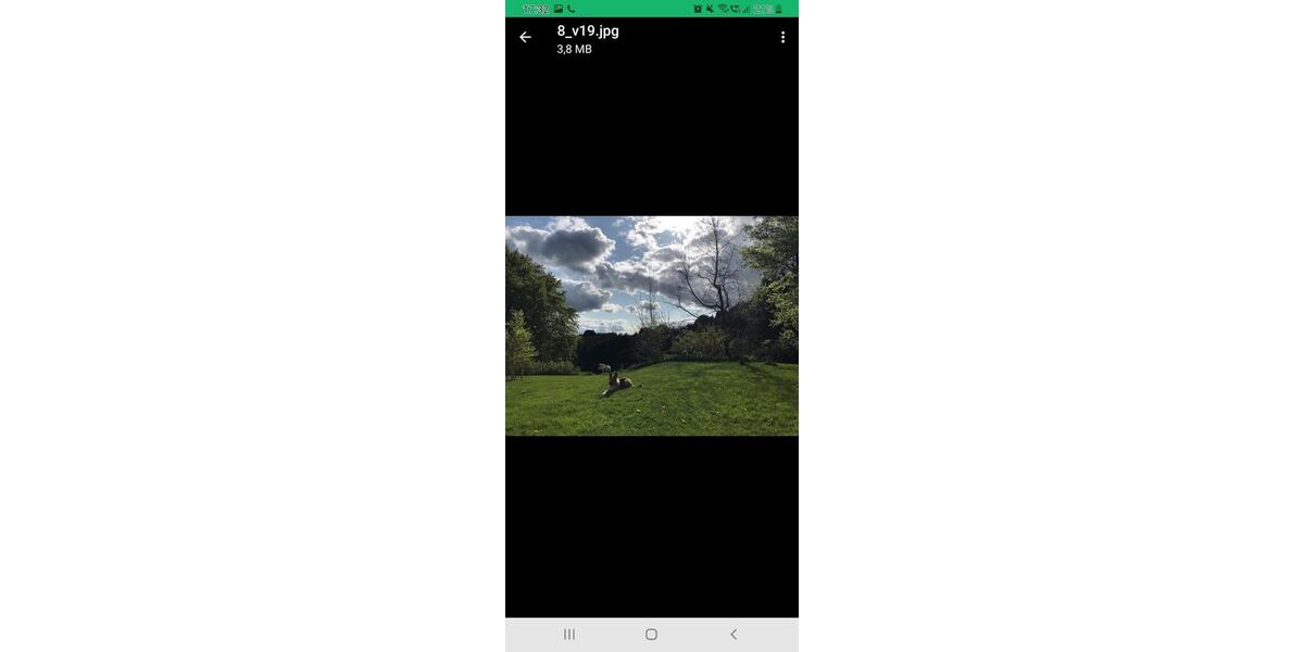 Erdgeschoßwohnung Winterberg - 1 Zimmer, 36 m&sup2;, 275&euro; | Angebot:24737574