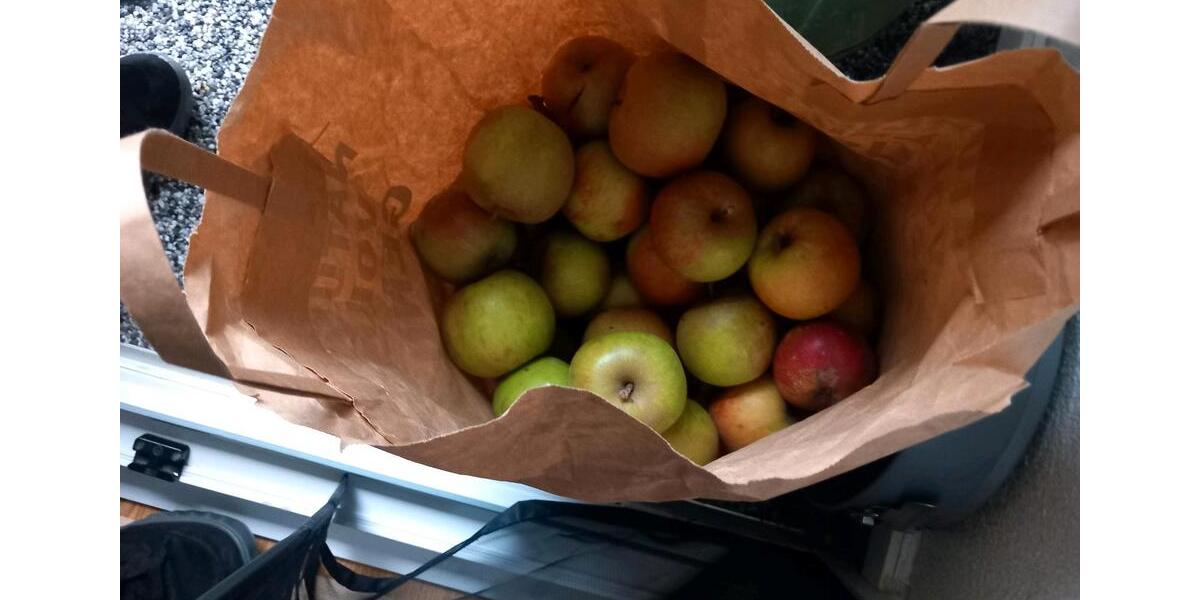 Wohnen auf Zeit Bad Salzuflen - 1 Zimmer, 14 m&sup2;, 810&euro; | Angebot:26250590