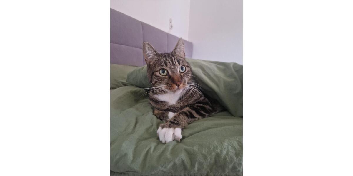 Wohnen auf Zeit Kassel Kirchditmold - 1 Zimmer, 90 m&sup2;, 398&euro; | Angebot:24634177