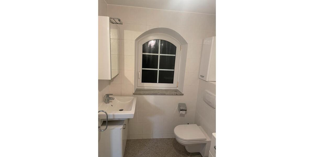 1 Zi. Wohnung 30 m² Einbauküche, frisch renoviert 1 zimmer