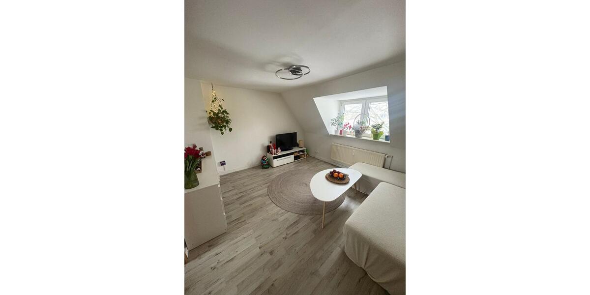 Dachgeschoßwohnung Tasdorf - 1.5 Zimmer, 28 m&sup2;, 300&euro; | Angebot:24455904