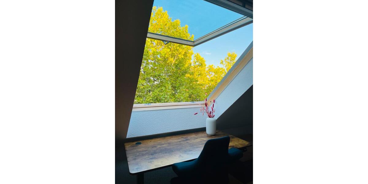 Vollmöblierte 2-Zi-Whg. LU Mitte (560€ warm pro Zimmer) 2 zimmer