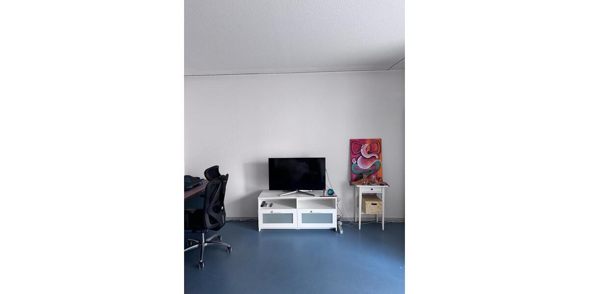 Wohnen auf Zeit Gießen Schlangenzahl - 1 Zimmer, 36 m&sup2;, 690&euro; | Angebot:26325134