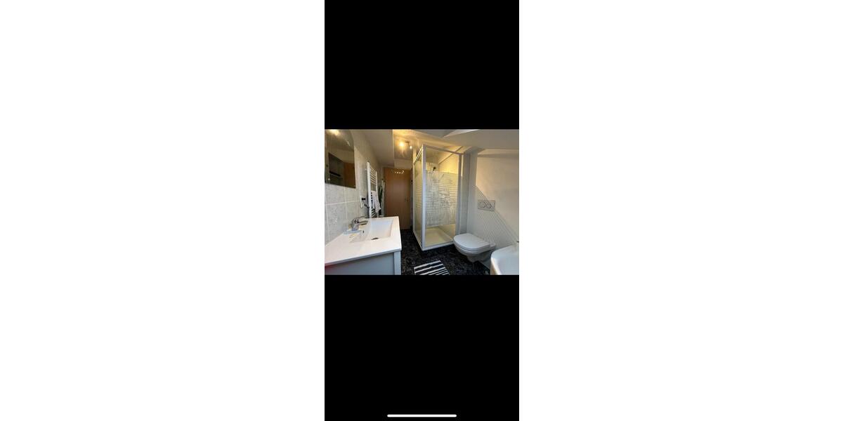 1-zimmer-appartment-moebeliert 1 zimmer