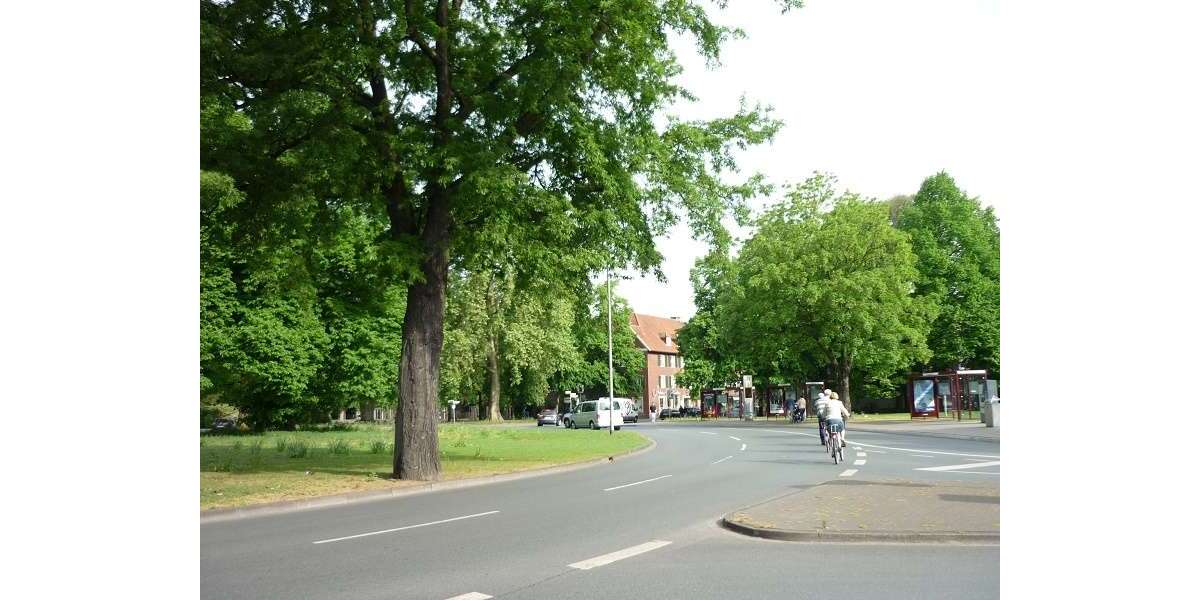 Büro in Münster 395 € 49 m² zimmer