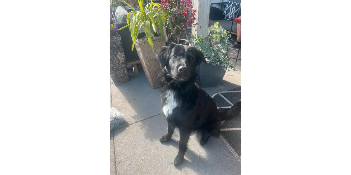 Etagenwohnung Deggendorf - 4 Zimmer, 115 m&sup2;, 600&euro; | Angebot:24650692