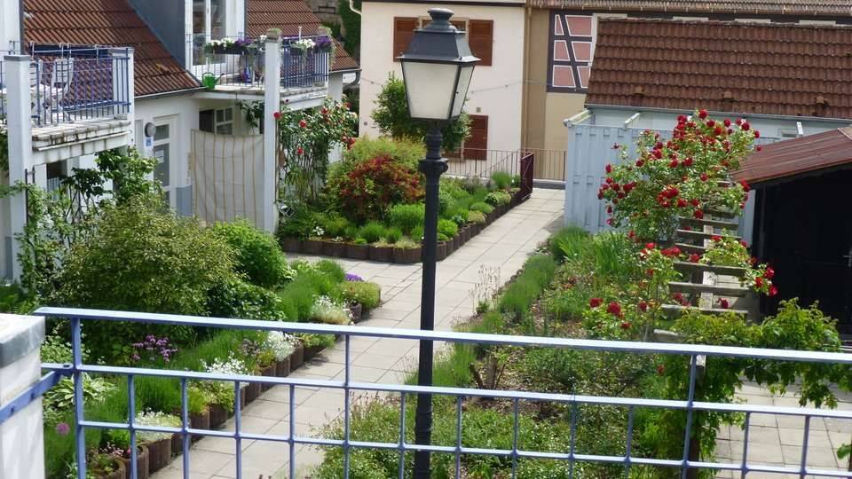 Etagenwohnung Kirchheimbolanden - 2 Zimmer, 59 m&sup2;, 590&euro; | Angebot:26053241