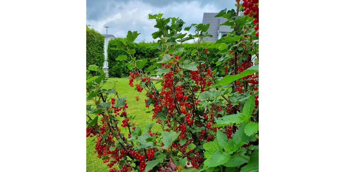 Wohnen auf Zeit Regensburg Brandlberg - 1 Zimmer, 13 m&sup2;, 495&euro; | Angebot:26254267