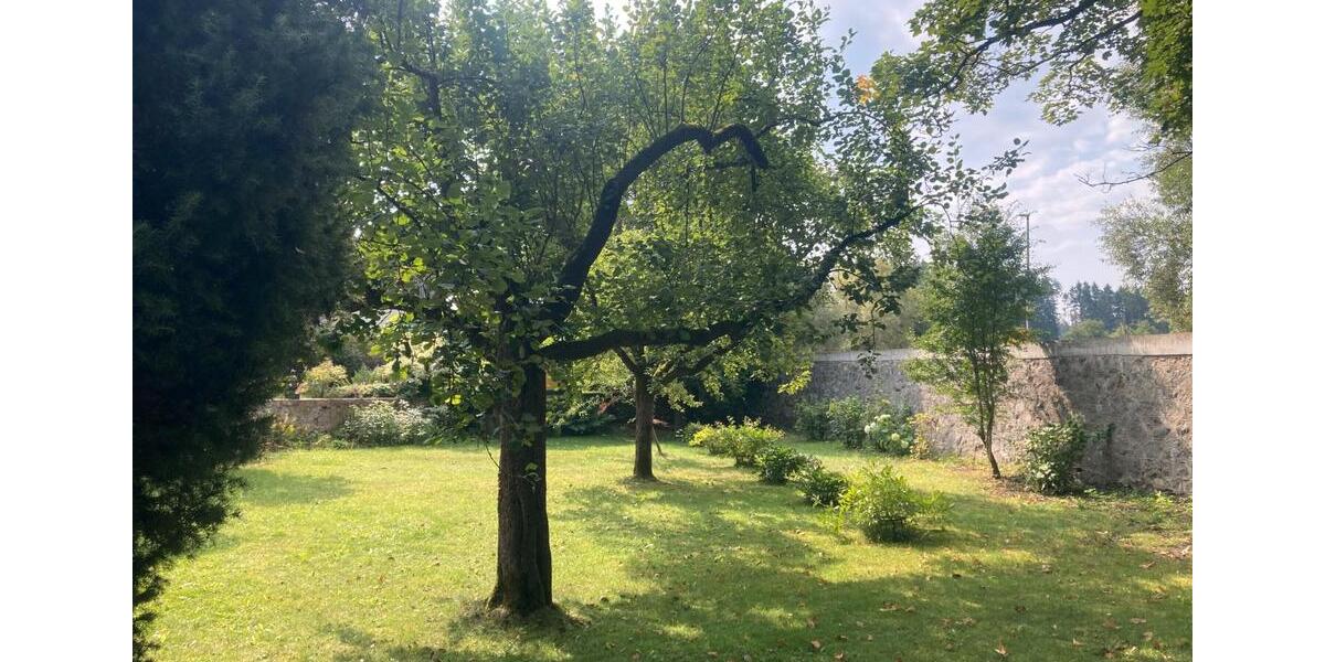 Etagenwohnung Marktredwitz - 7 Zimmer, 230 m&sup2;, 1.200&euro; | Angebot:26469947