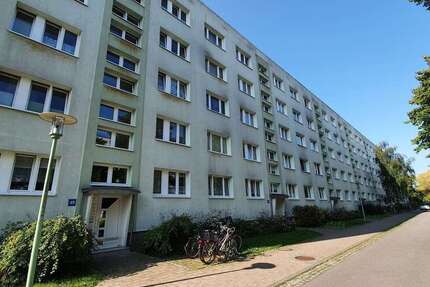 Wohnung Greifswald Groß Schönwalde - 2 Zimmer, 48 m&sup2;, 480&euro; | Angebot:24811728