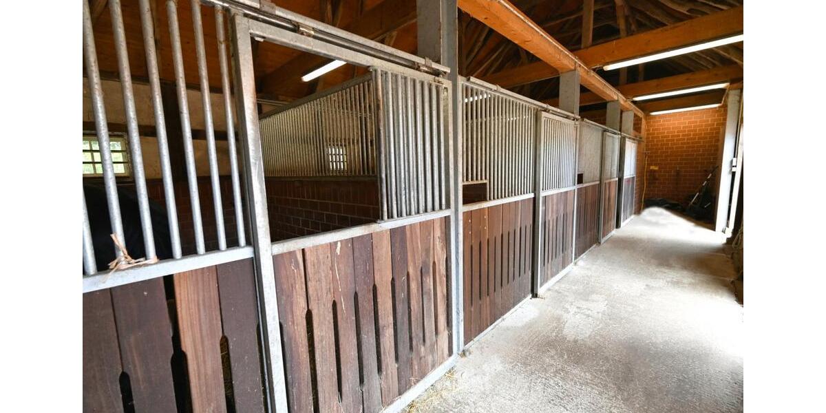Gewerbeobjekt Badbergen - 125&euro; | Angebot:22011526