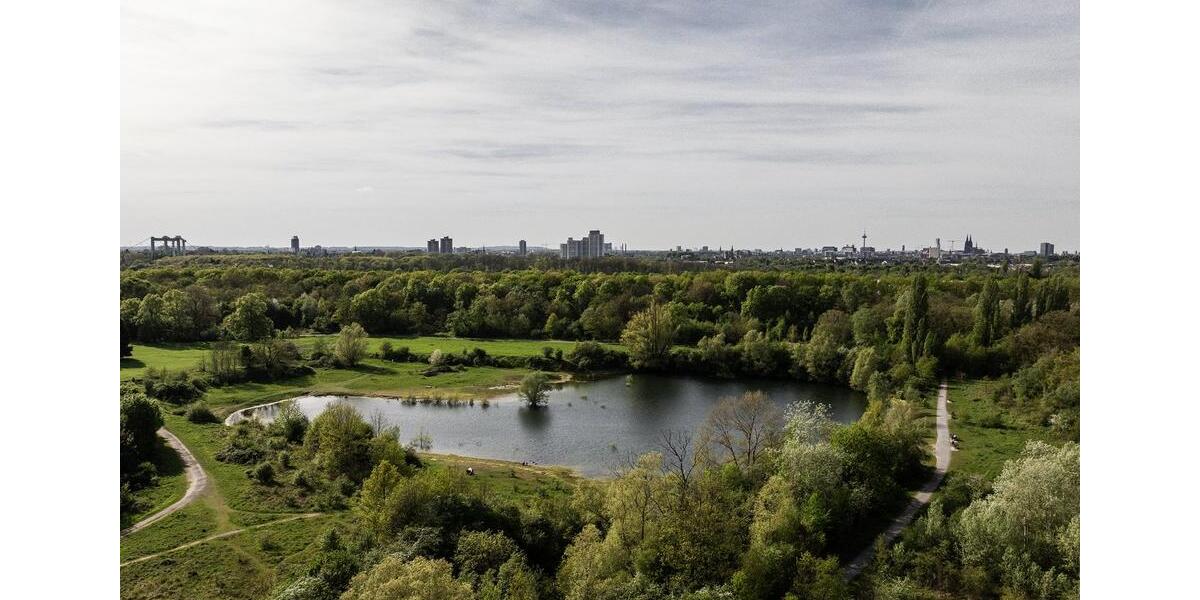 Gewerbeobjekt Köln Porz - 1.700&euro; | Angebot:26093071