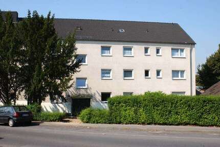 Wohnung zum Mieten in Stolberg 369 € 50.5 m²