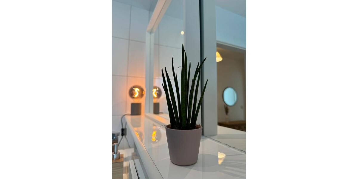 Dachgeschoßwohnung Ludwigshafen am Rhein - 2.5 Zimmer, 50 m&sup2;, 1.500&euro; | Angebot:24352309